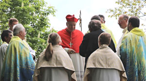 ¿Sectas en la Iglesia Católica? El análisis del cardenal Christoph Schönborn
